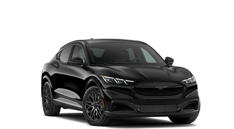 Mustang Mach-E® vehicle